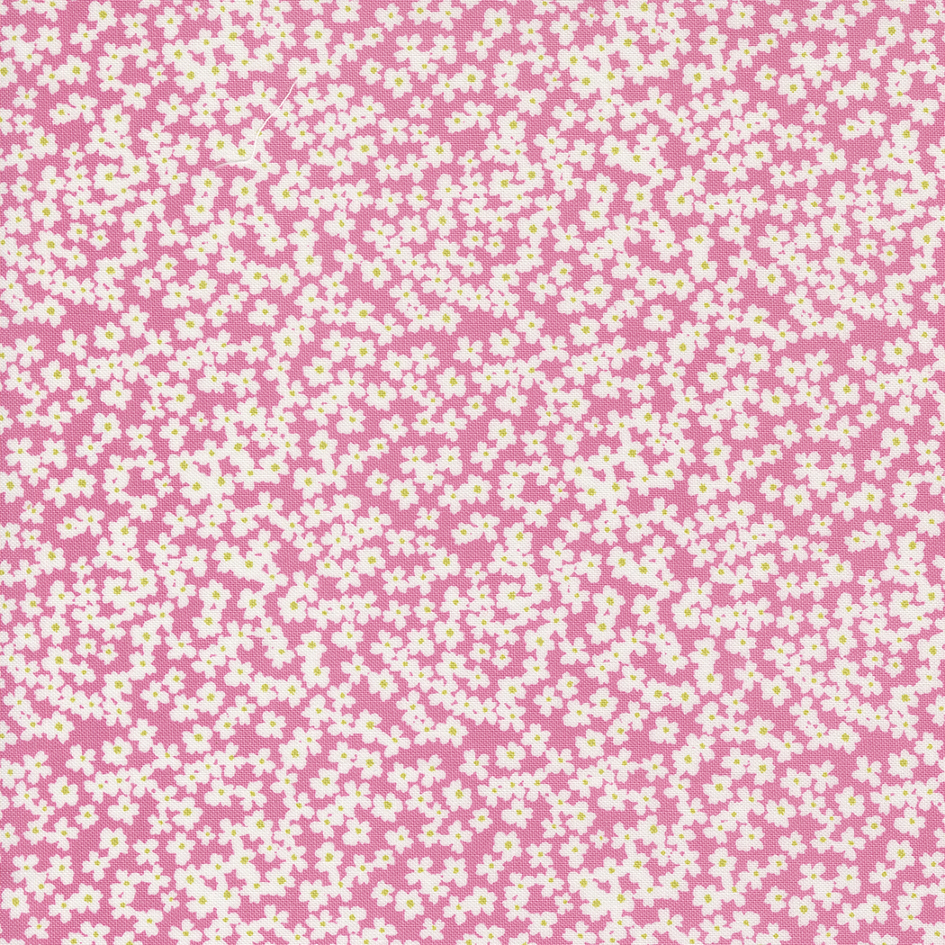 Shine by Sweetwater Fabric