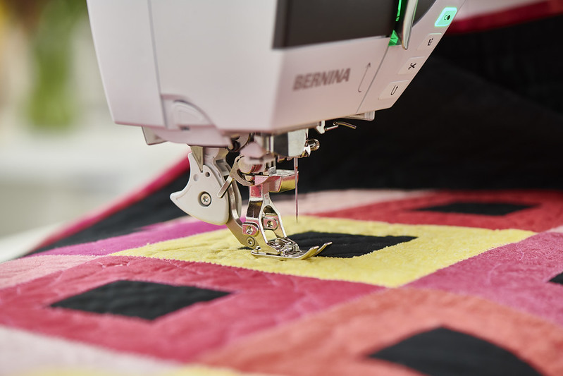 Bernina 790 PRO