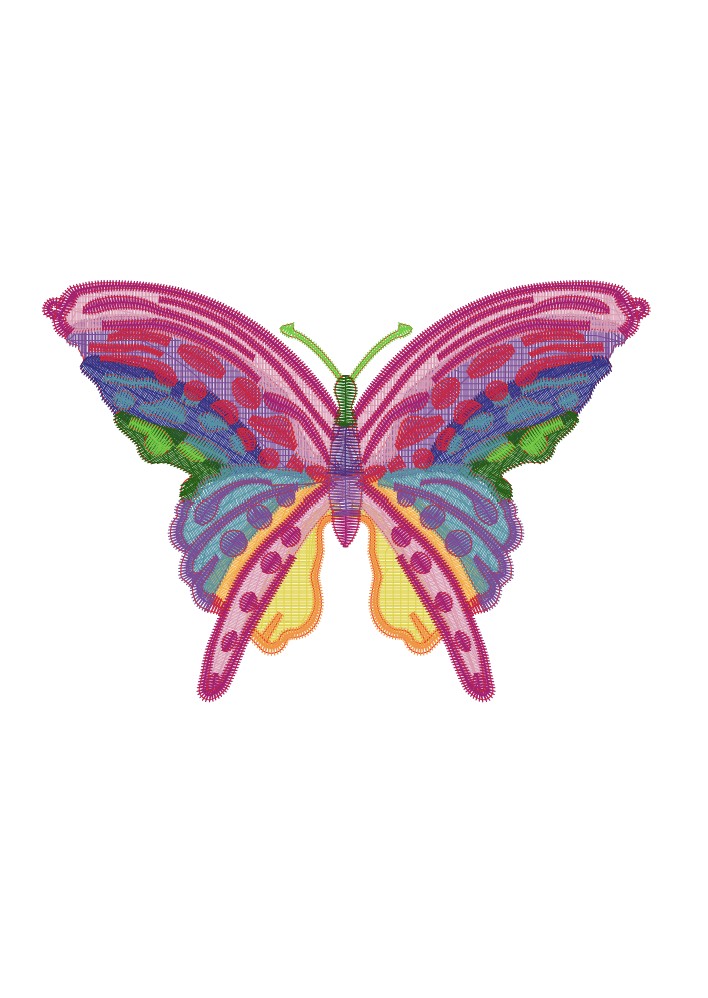 Lascia una Farfalla 🦋